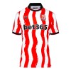 Virallinen Fanipaita Stoke City Kotipelipaita 2025-26 - Miesten